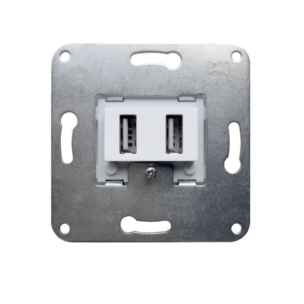 USB Dose 2x Typ A
