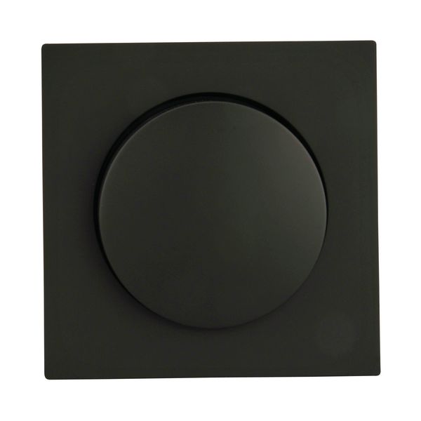 Dimmerabdeckung Sao Paulo Serie908 anthrazit