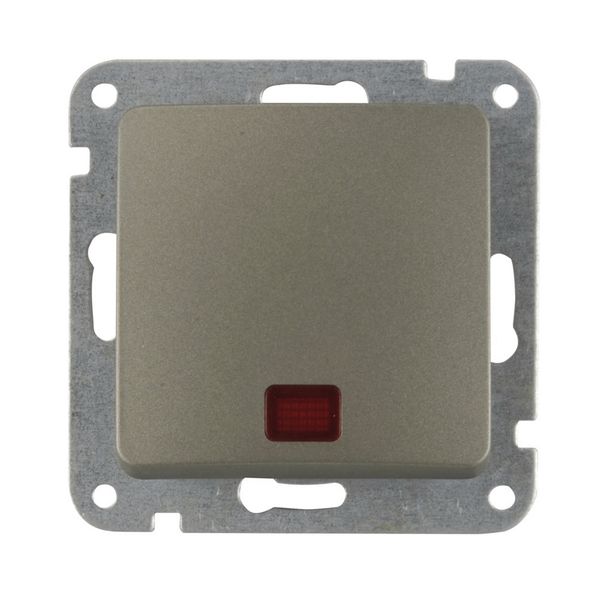 Kontrollschalter platin Monaco Serie 204