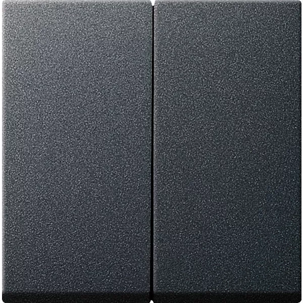 Wippe Serienschalter Gira System 55 System 55 anthrazit