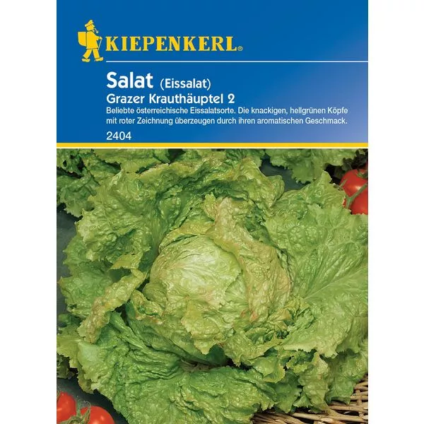 KK Eissalat Grazer Krauthäuptel 2 KK-PG F
