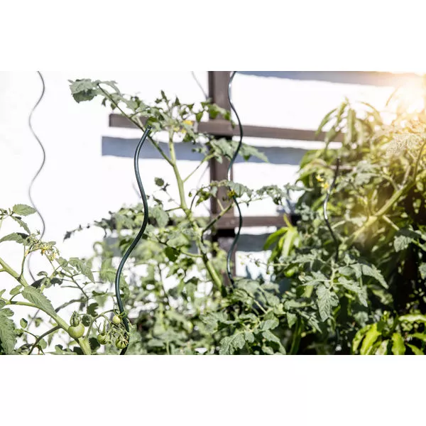 05636-39 05642,47 tomaten-Spiralstab grün und verzinkt 01