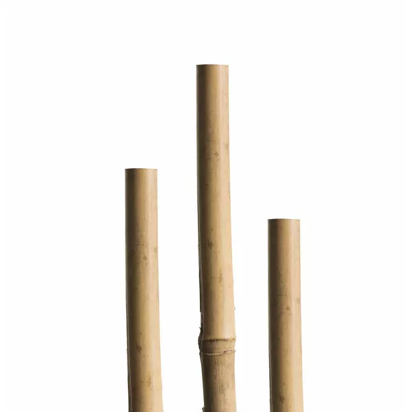 Tonkinstäbe 150 cm, 12/14 mm