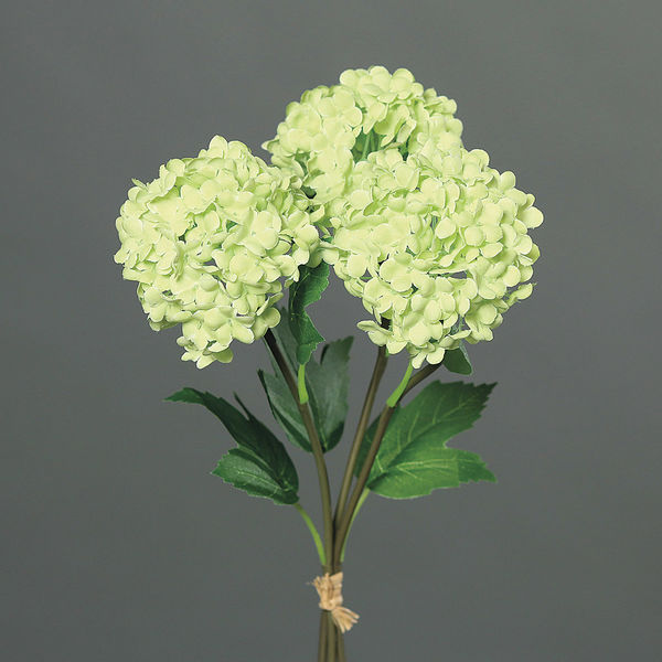 Schneeballbund x3 green 25cm Preis per Bund