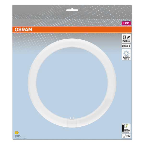 4099854042683_Verpackung_2