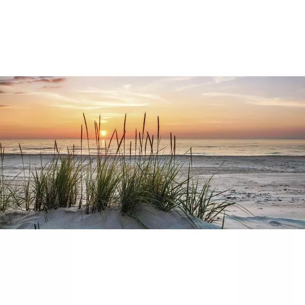 Keilrahmen 50x100cm diverse Motive