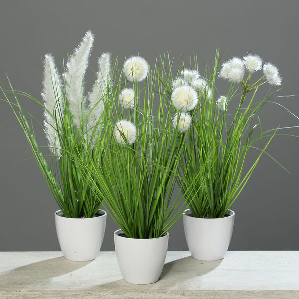 Grassortiment x3 cream 38cm