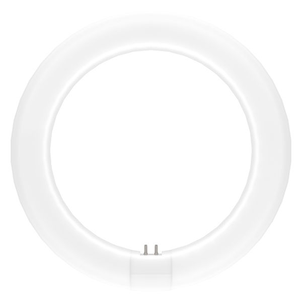 4099854042621_Produkt_2 4099854042621_Produkt_2