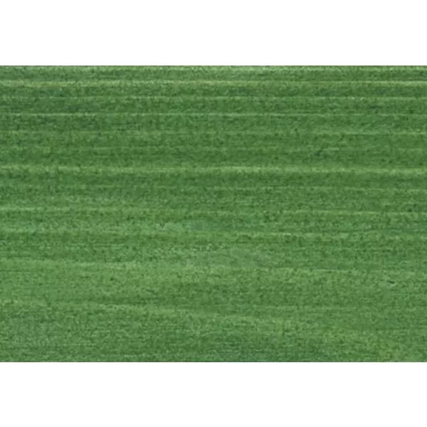 HSL 0060 Tannengrün