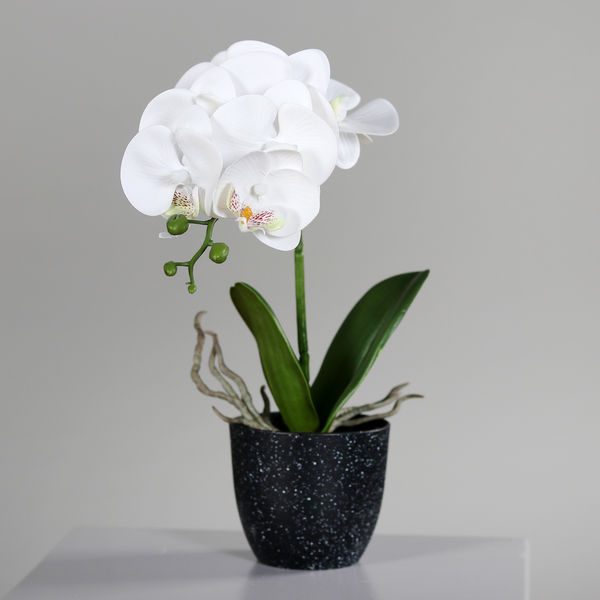 Orchidee cream natural touch 36cm