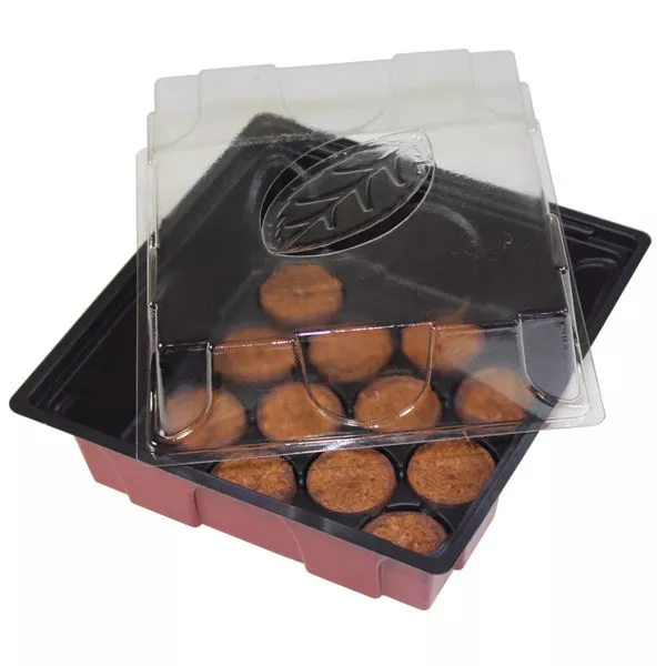 Zimmertreibhaus 12Tabs 19,5x19x11cm