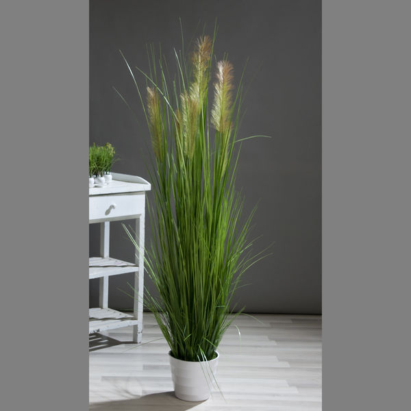 Grasarrangement im weißen Topf 180cm