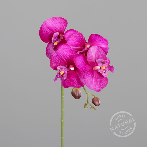 Orchidee Real Touch fuchsia 66cm