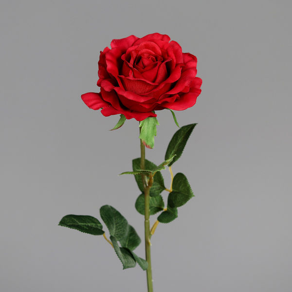 Rose x1 red 58cm