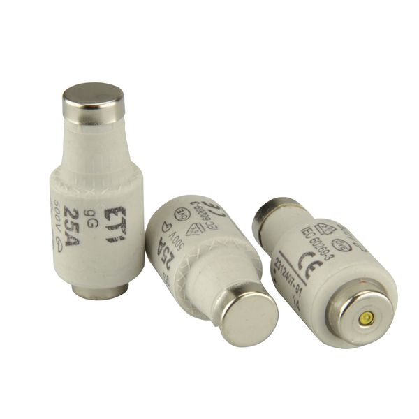 Sicherung 25 A träge (5 St)