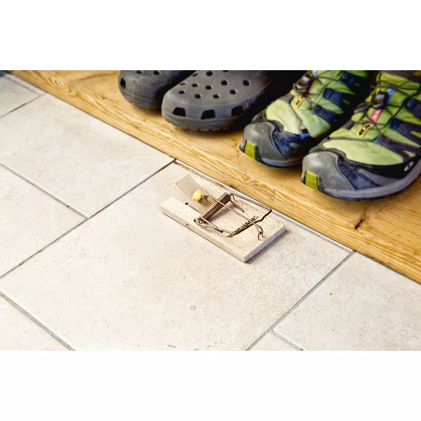 05325 05326 Rattenfalle holz 01