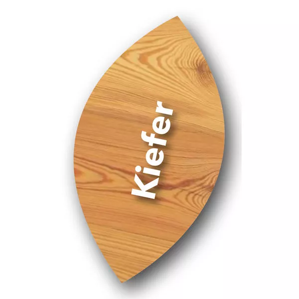 682364_Aussenlasur_Kiefer_Farbtonpaspel