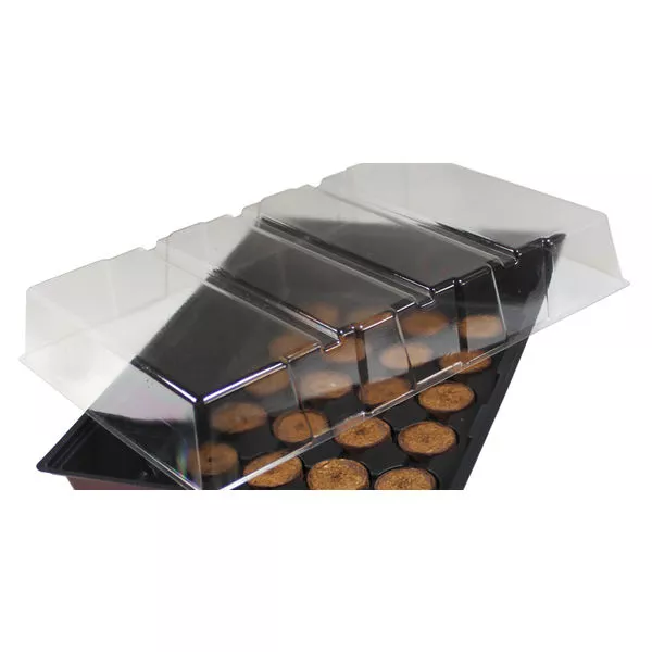 Zimmertreibhaus 24Tabs 35x23,5x11cm