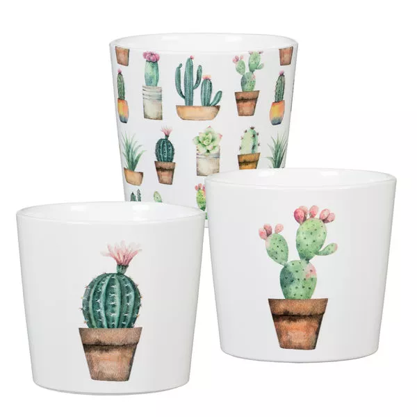 Mini-Übertopfe Cactus Garden 870/09 Indoor Thekendisplay