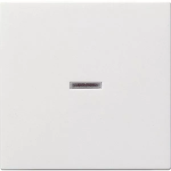 Wippe Kontroll reinw.glänzend Gira