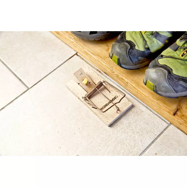 05325 05326 Rattenfalle holz 02