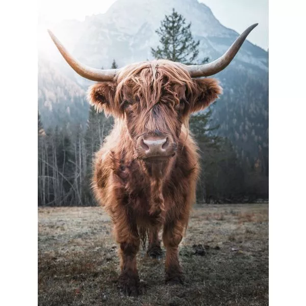 Keilrahmen 46x61cm diverse Motive