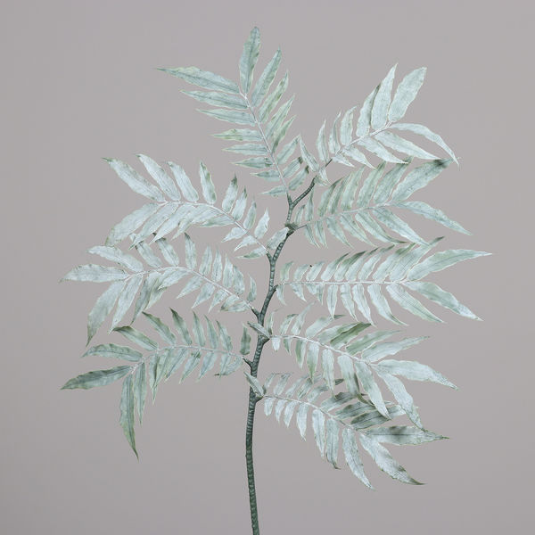Farnzweig 110cm