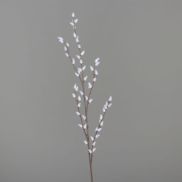 Weidenkätzchen 89cm