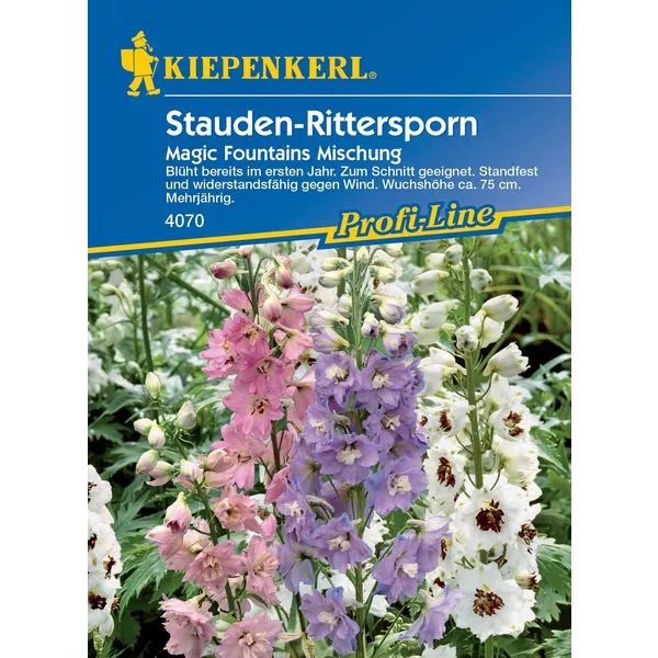 KK Stauden-Rittersporn Magic Fount. Mix KK-PG N