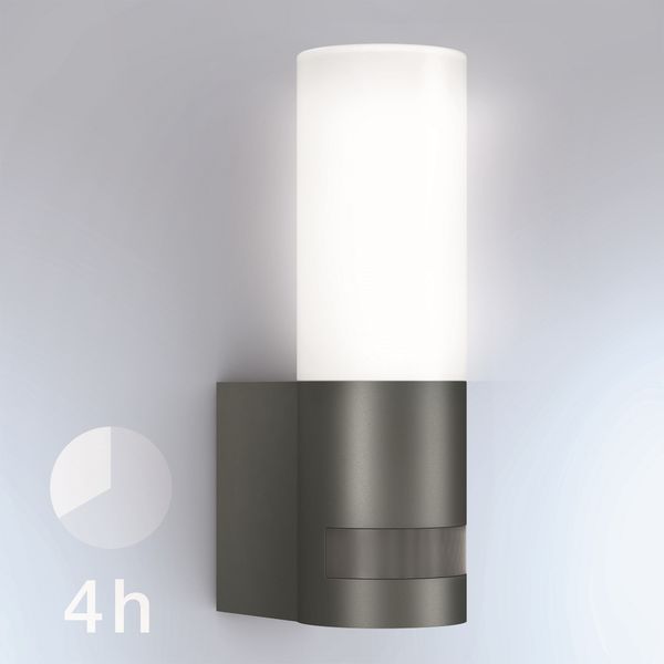 Optionales Dauerlicht_L 605 LED_ANT
