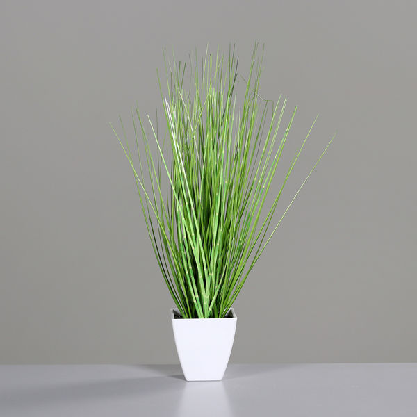 Gras 44cm