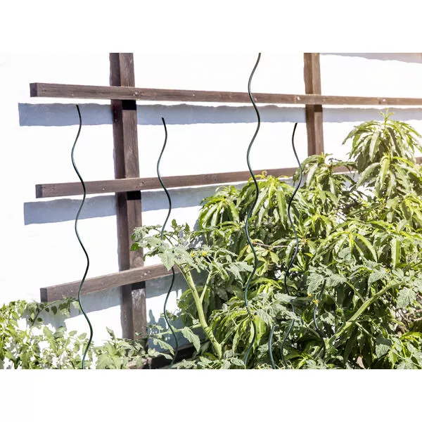 05639 05642,47 tomaten-Spiralstab grün 02