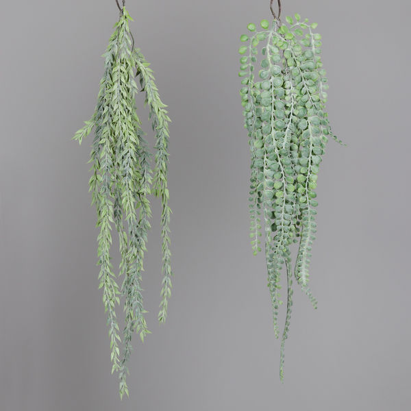 Sukkulenten Hänger x2 green 60cm
