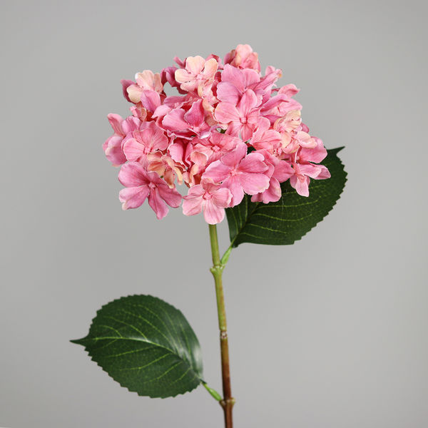 Hortensie pink 54cm