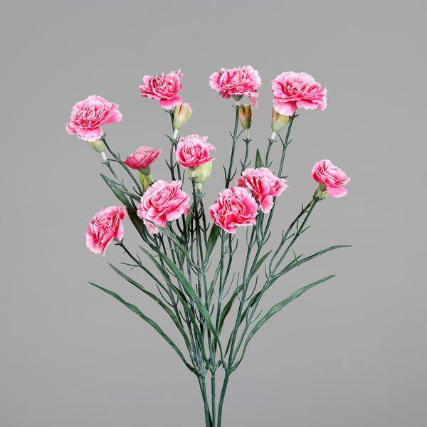 Nelken Busch dusty-pink 50cm