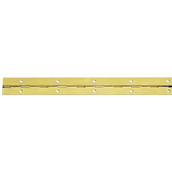 Stangenscharniere vermessingt 20x1200mm (PG T)