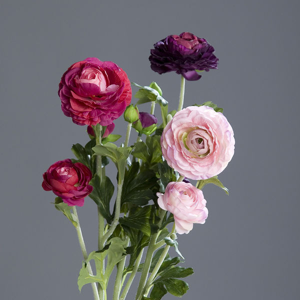 Ranunkel x3 purple-fuchsia 62cm