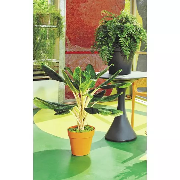 191942002853, 191942002945, 191942003034, 191942003126, 191942003218 - Copia