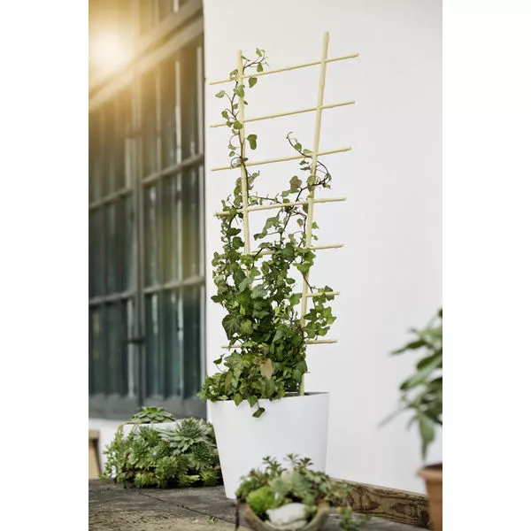 Blumenstütze Bambus 90x35cm