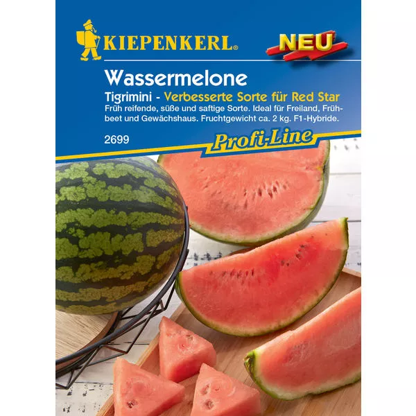 KK Wassermelone Tigrimini, F1 KK-PG O