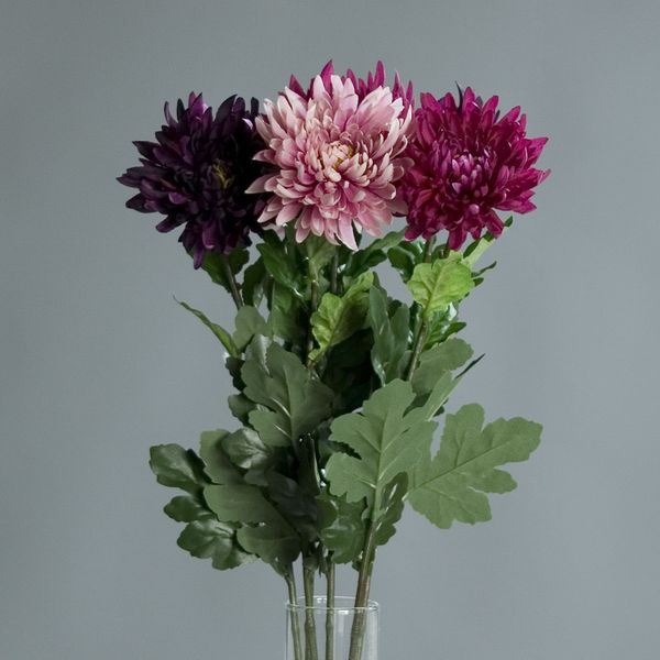 Chrysantheme 3fbs. 72cm purple-lavender-fuchsia
