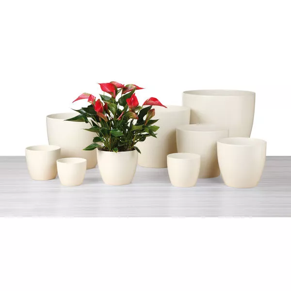 Primeltopf Creme 920/11 cm
