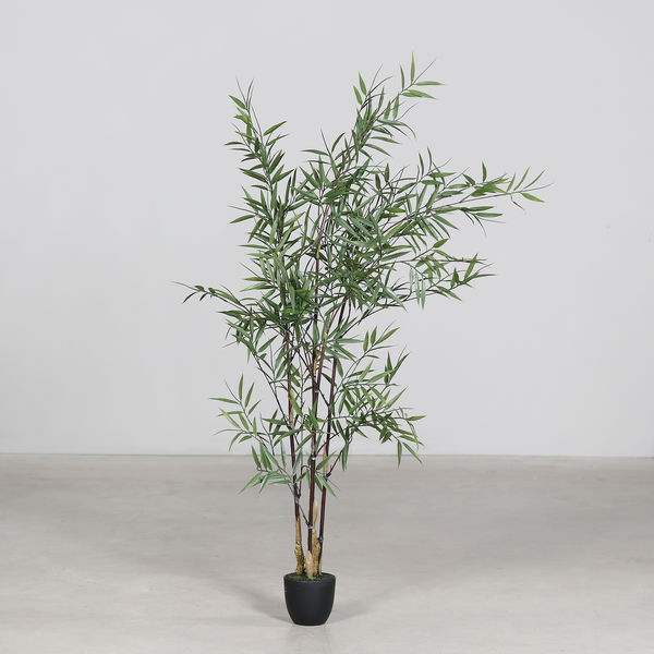 Mini Blatt Bambus 121cm