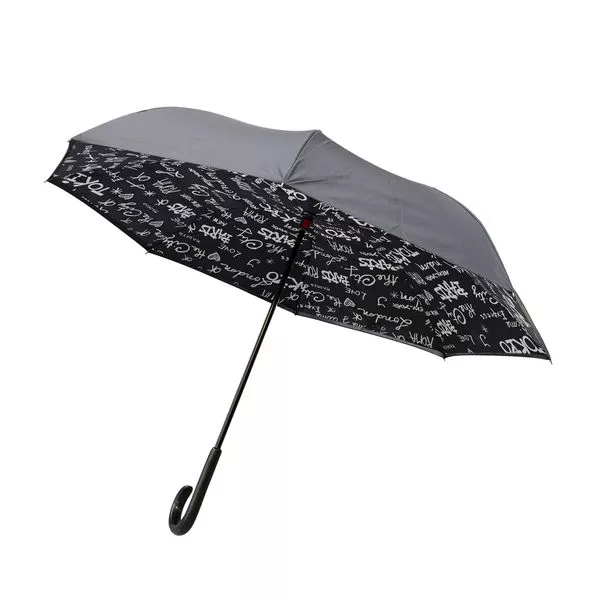 Regenschirm Paris